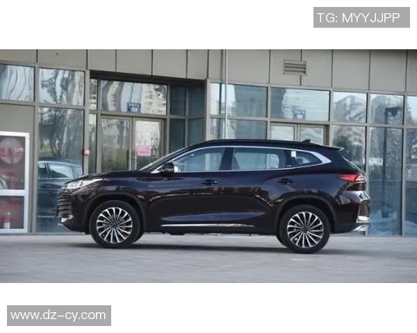 打造个性空间自粘足球明星壁画让家居充满活力与激情