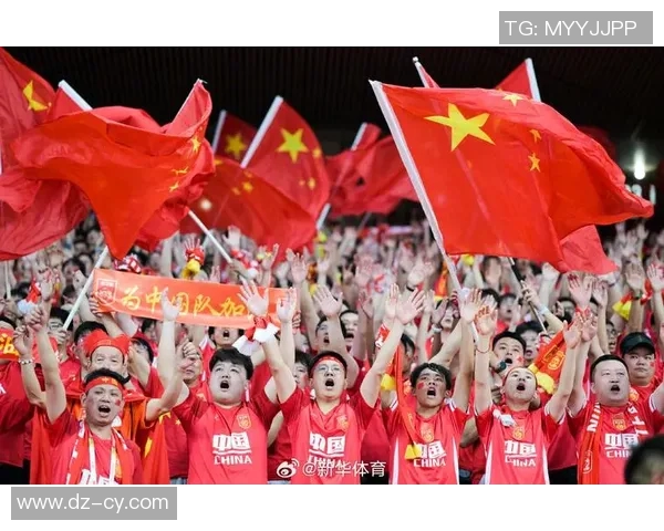 中国足球明星汇总与成就分析全景展示